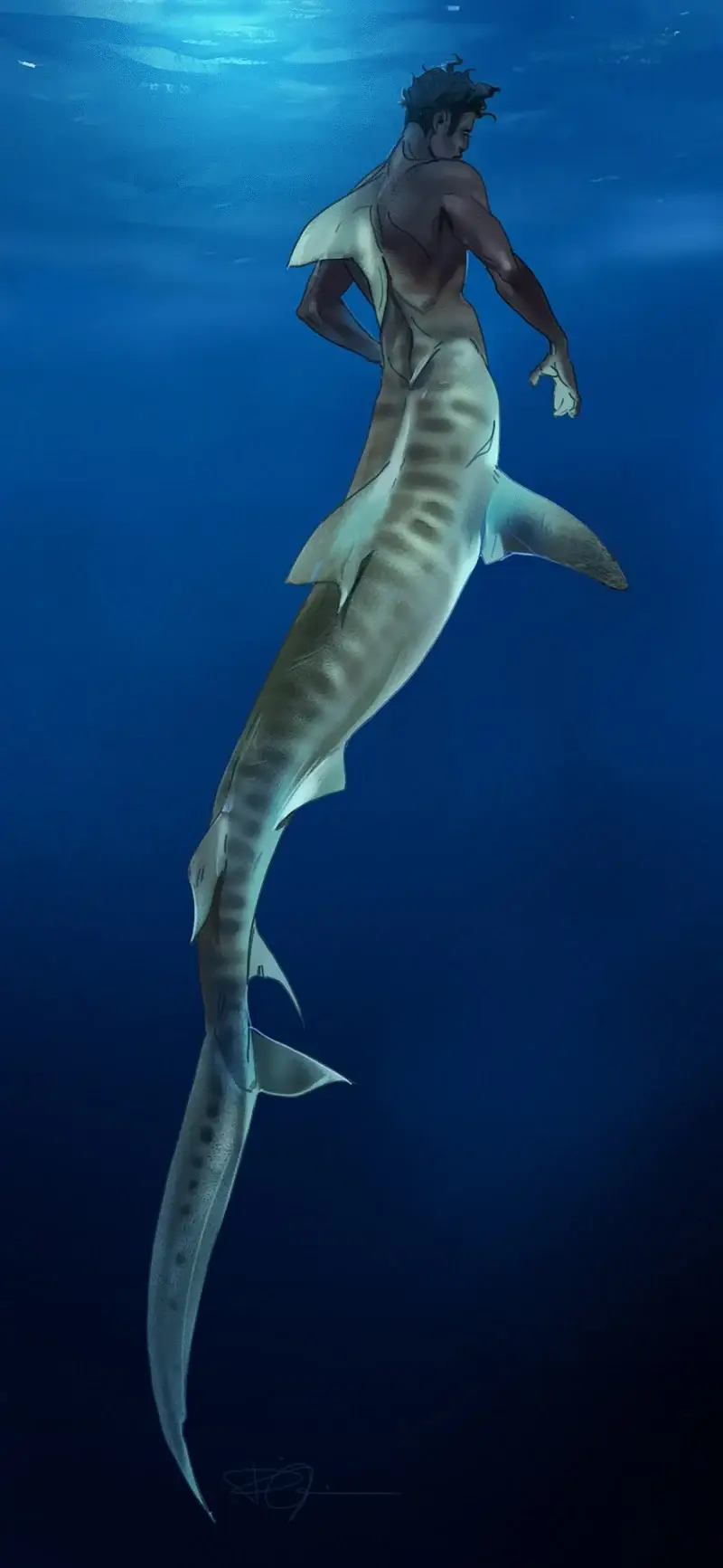 Thumbnail of REUNITED MATE | Tethys Cuvier | alt prompt