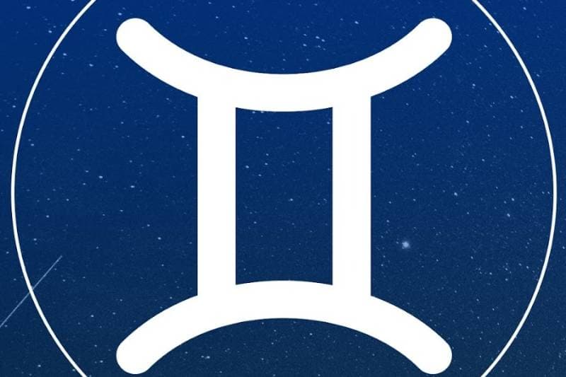 Thumbnail of Gemini+