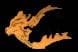 Thumbnail of Infire.si