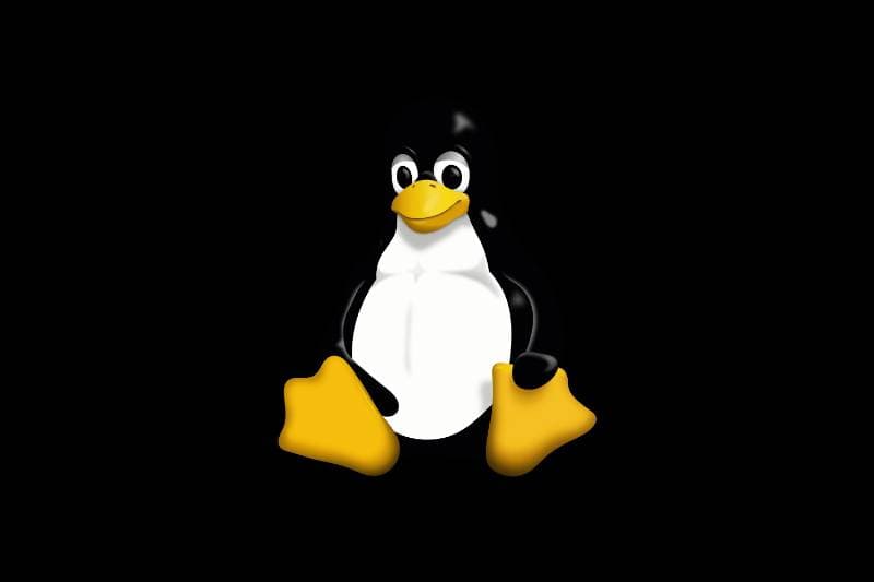 Thumbnail of Linux Expert