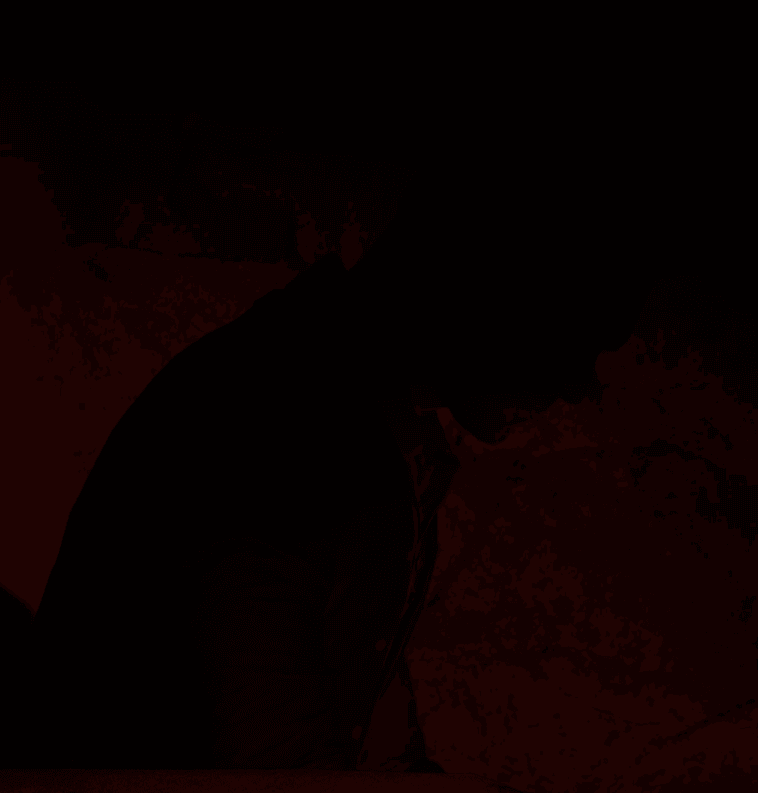 Thumbnail of Vladimir Makarov