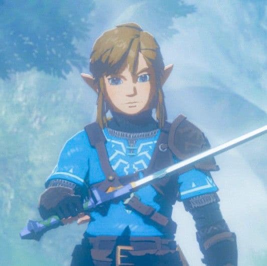 Thumbnail of Ссылка (Post BOTW, Pre-Totk) возраст 20