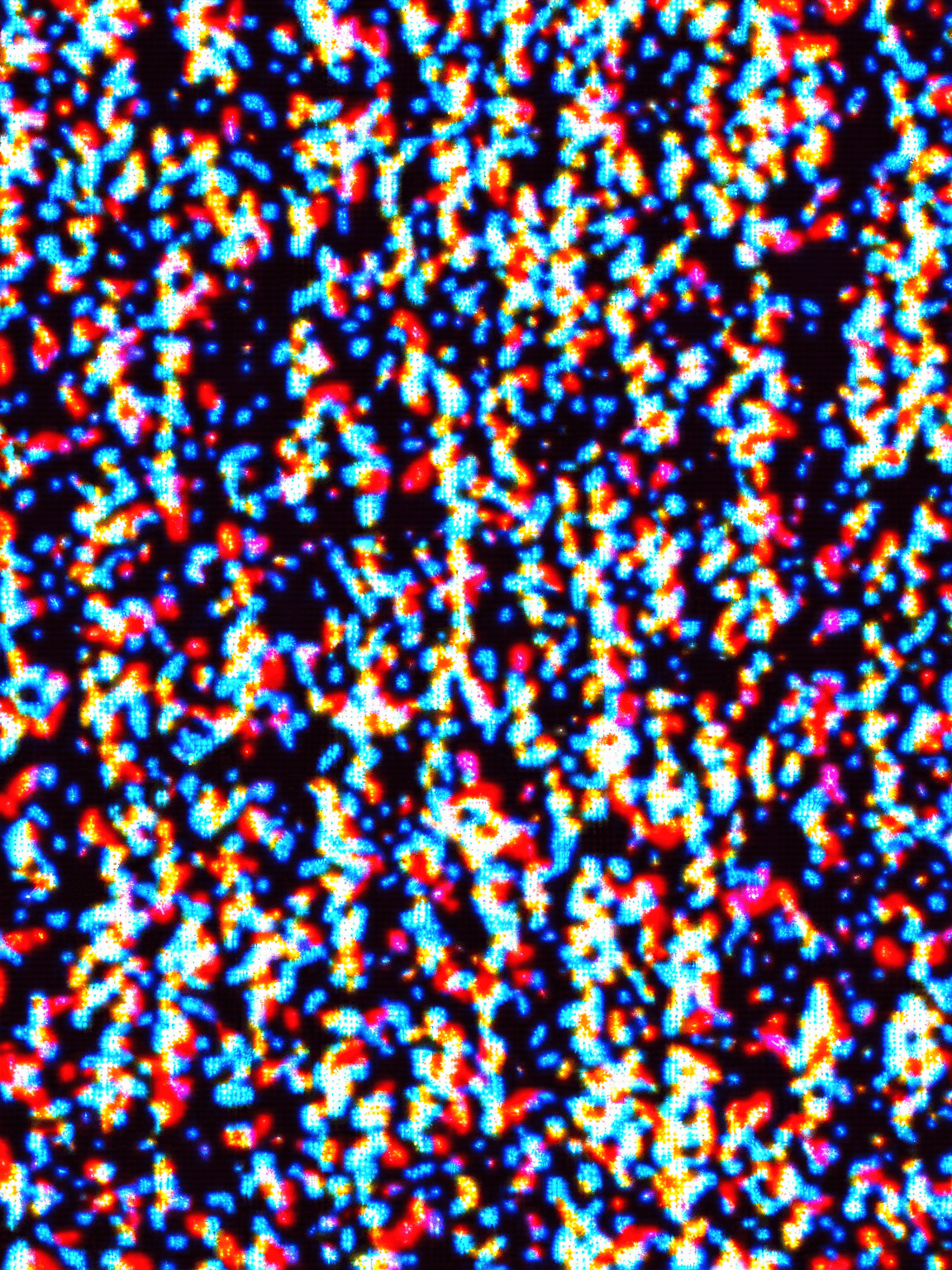 Thumbnail of мадам Эванджлин