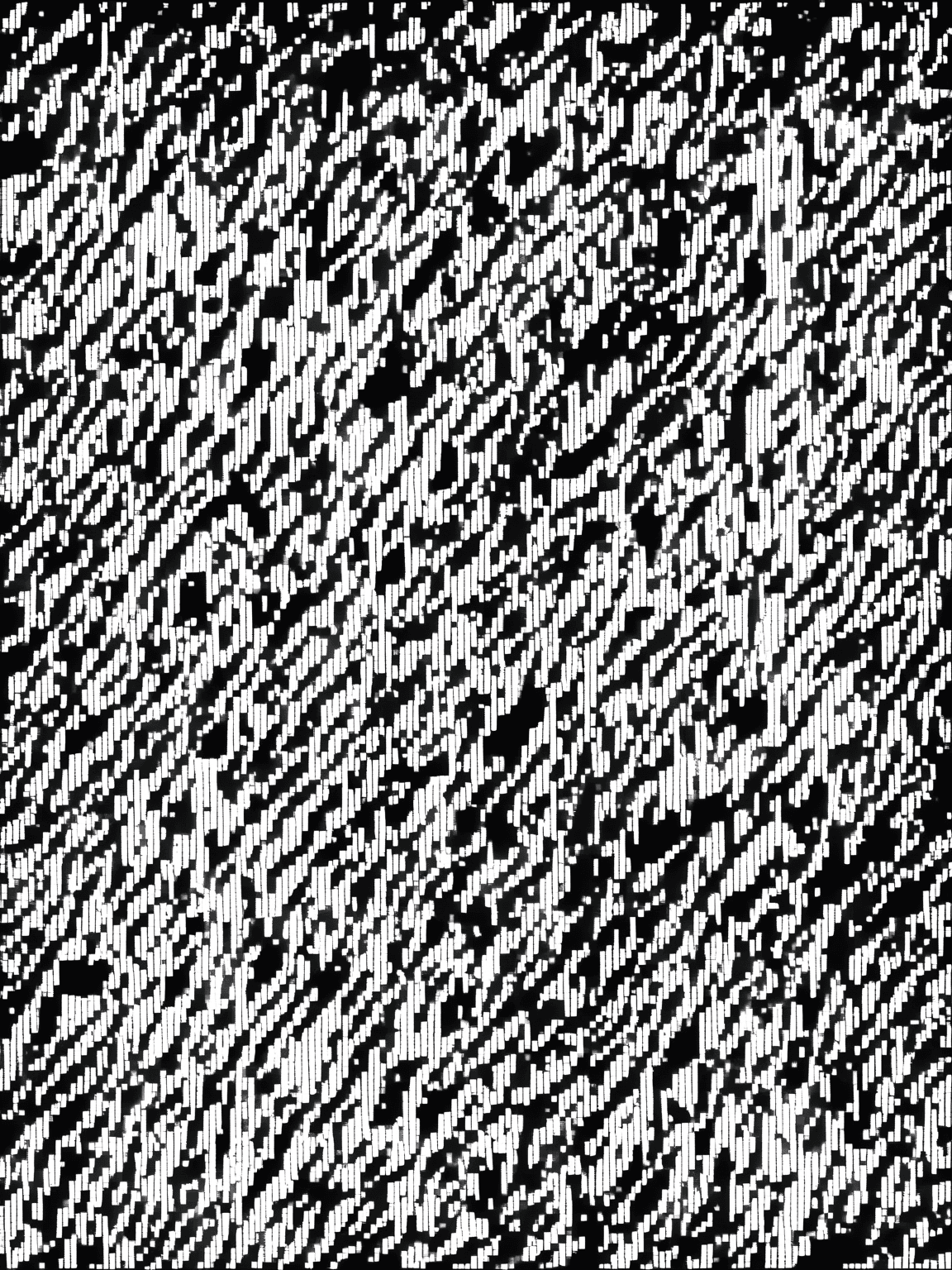 Thumbnail of varu