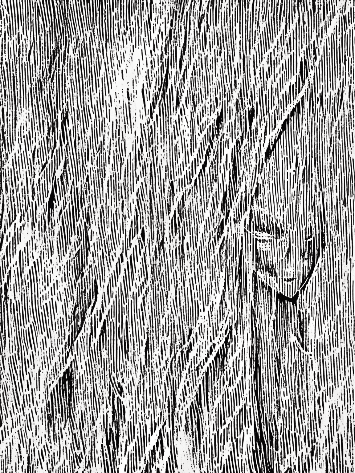 Thumbnail of Эскизы
