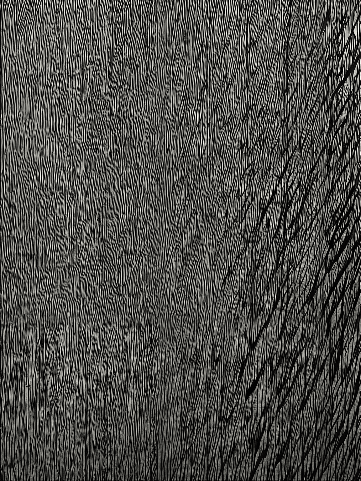 Thumbnail of arche noah