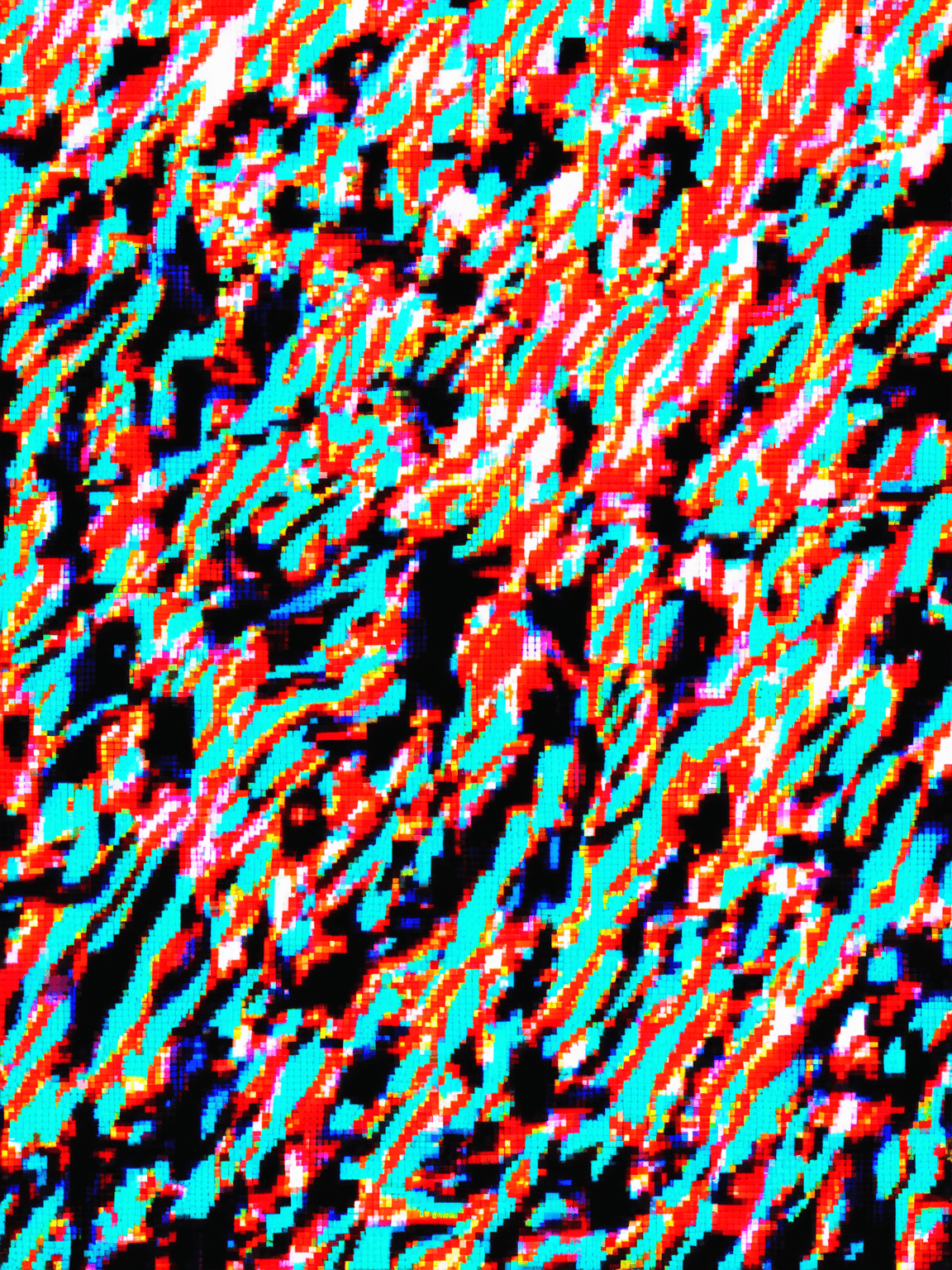 Thumbnail of Lorenzo 'lollo lacusstre'