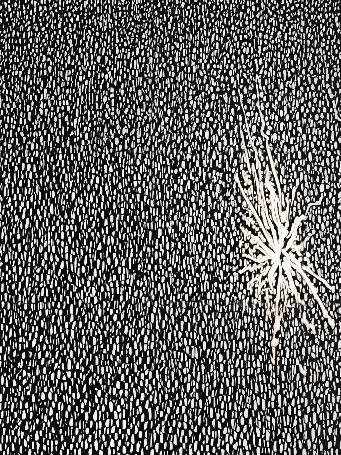 Thumbnail of бесполезный.