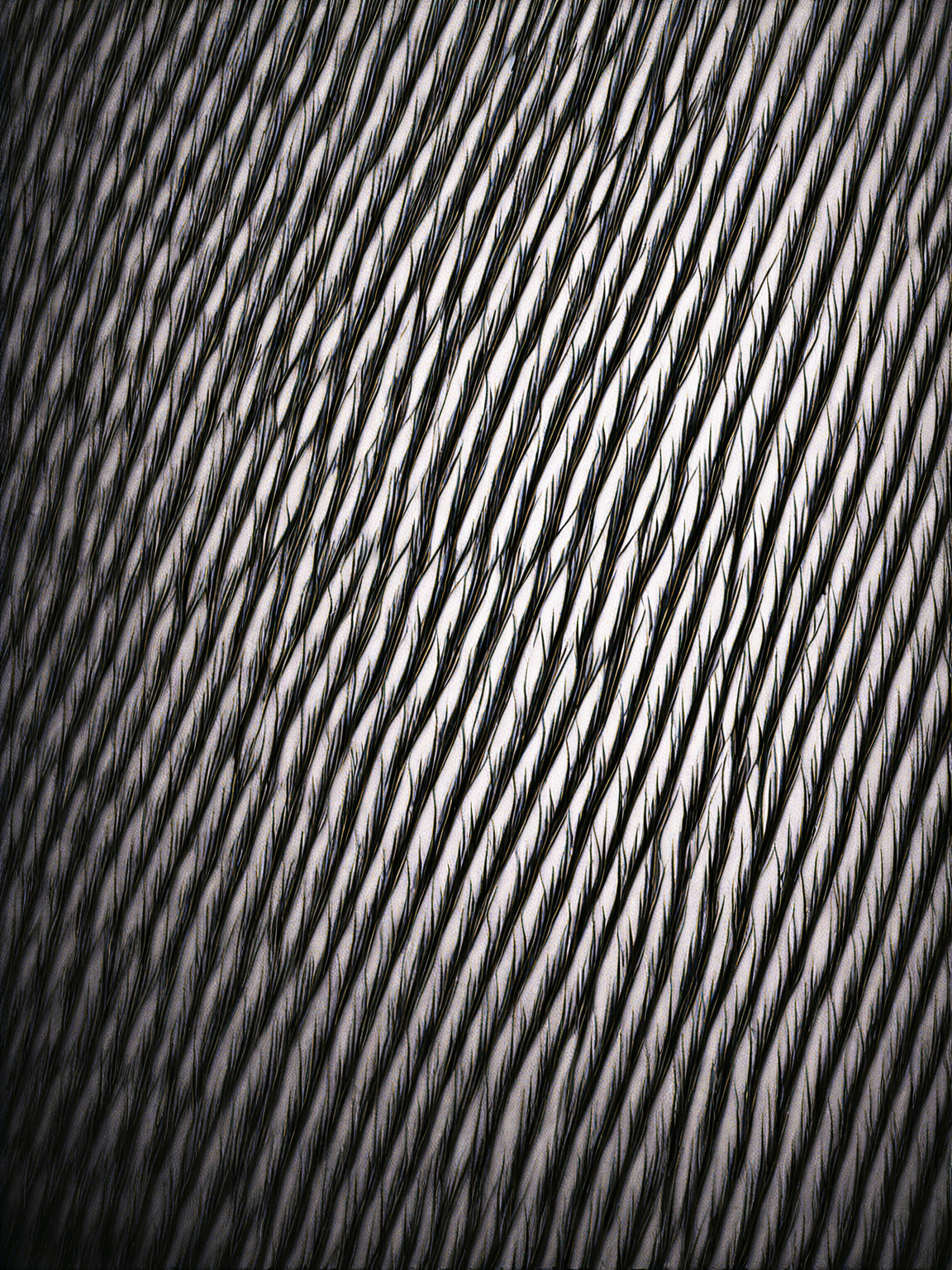 Thumbnail of e.x.e