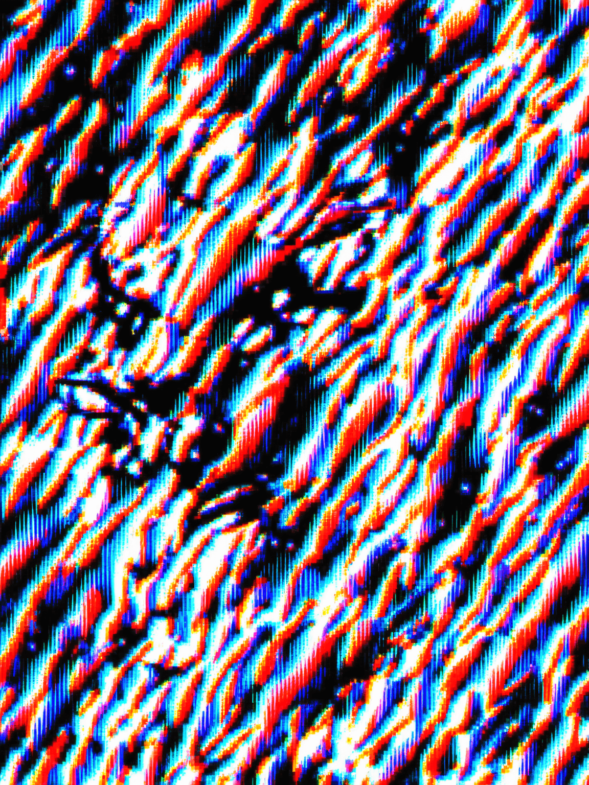 Thumbnail of Rin Itoshi