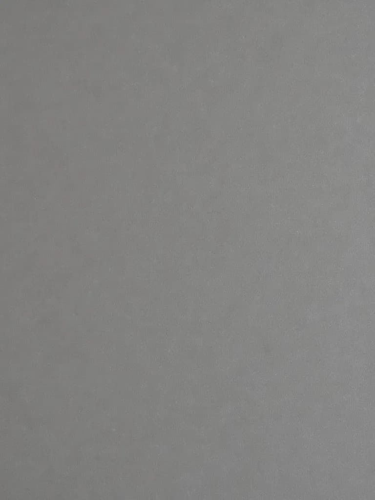 Thumbnail of Dina