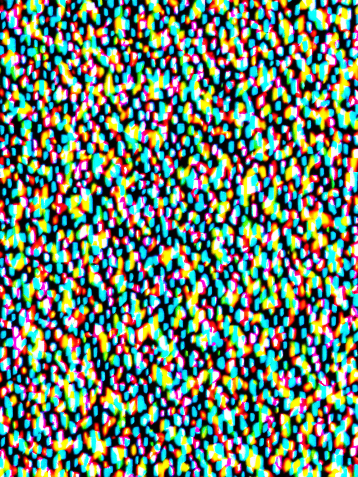 Thumbnail of Шамиль.