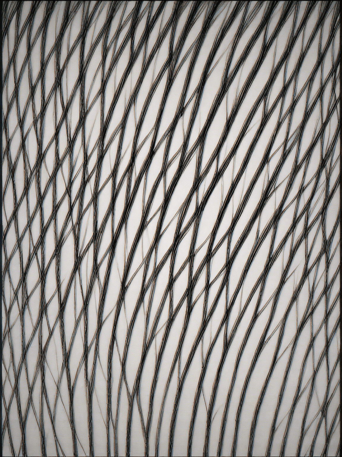 Thumbnail of Мисс Кругс