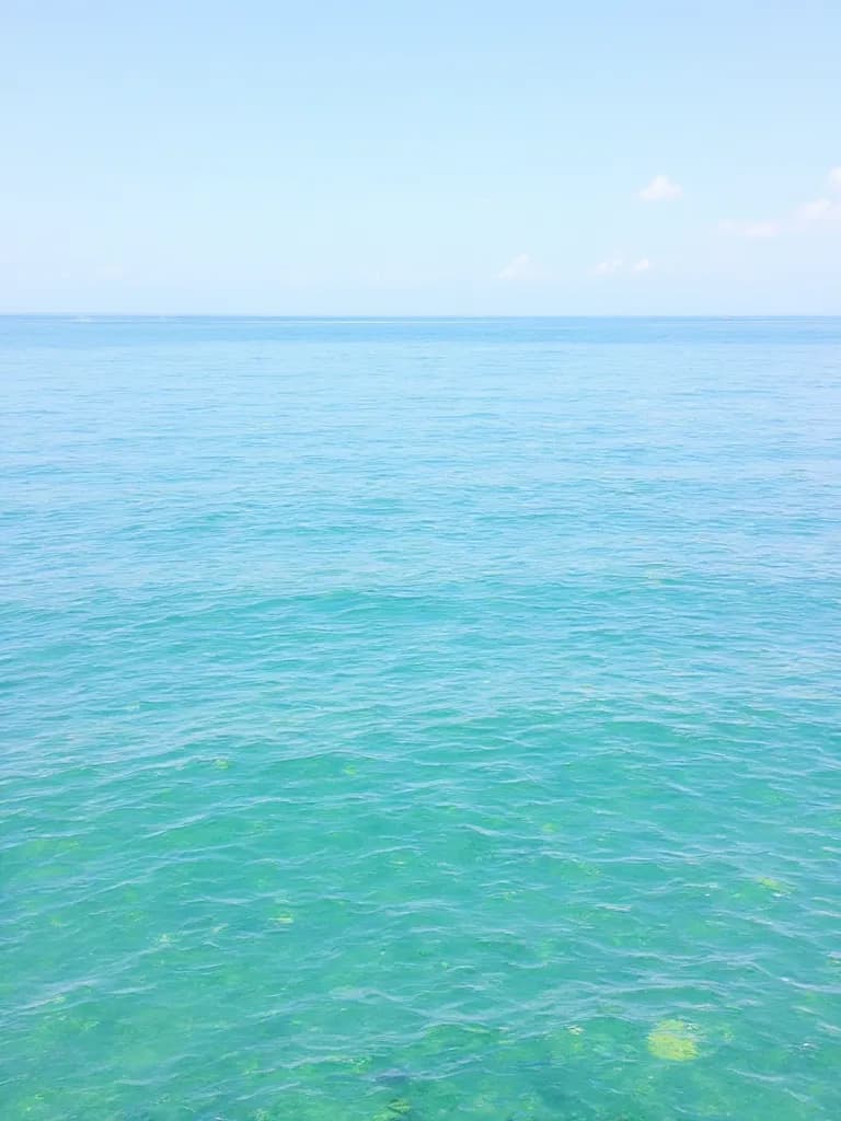 Thumbnail of Гию Томиока