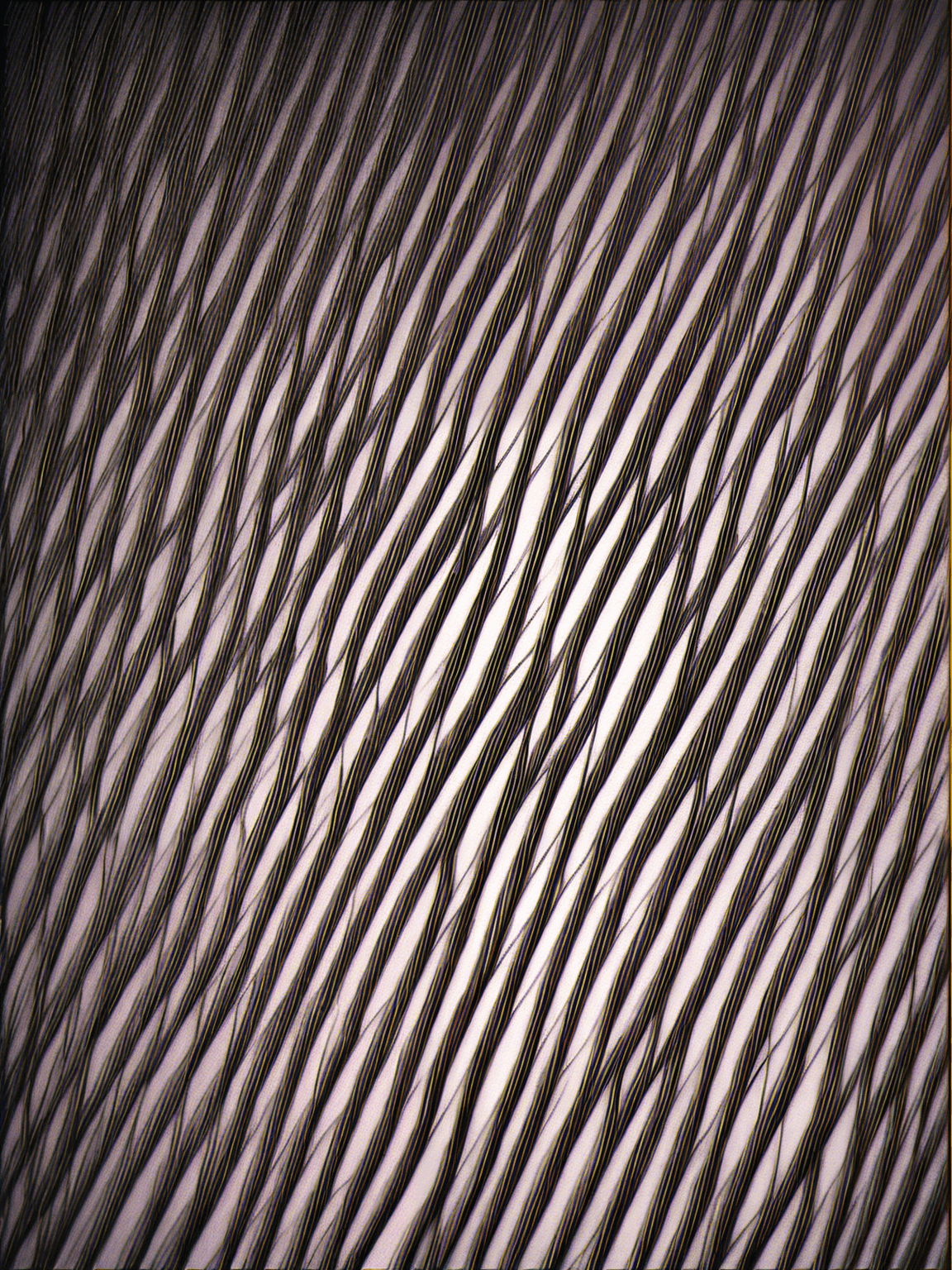 Thumbnail of Эми