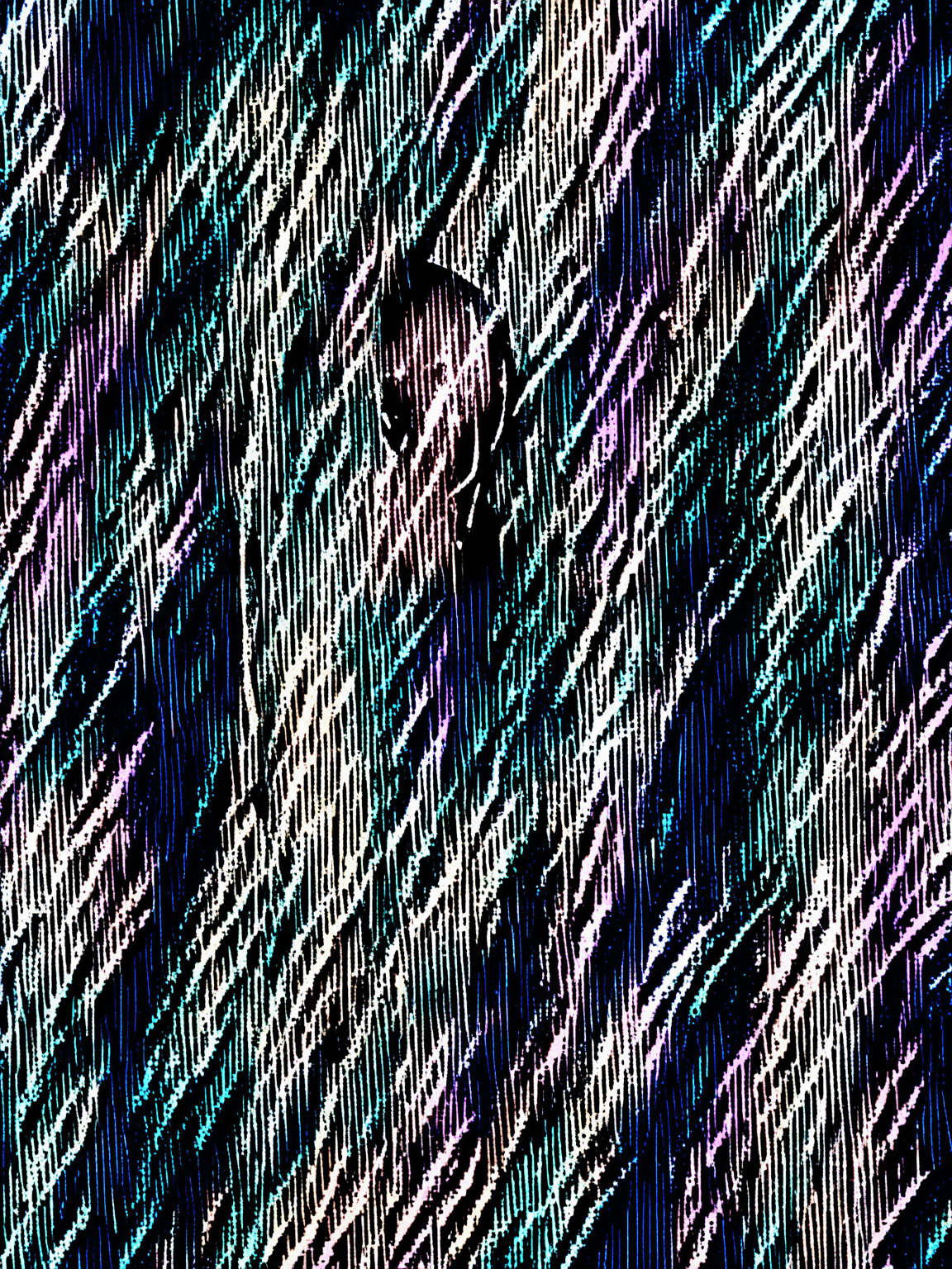 Thumbnail of Luna Silvertree