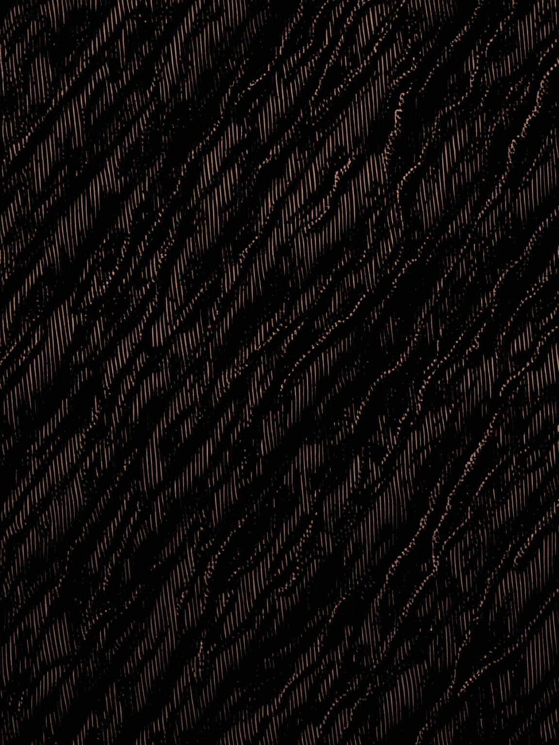 Thumbnail of seraphina