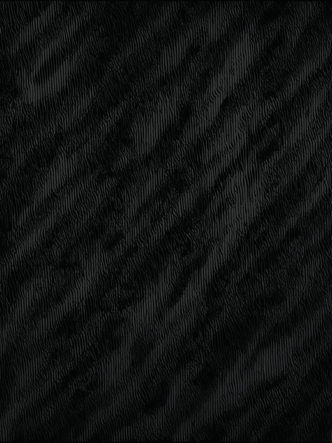 Thumbnail of Погребение