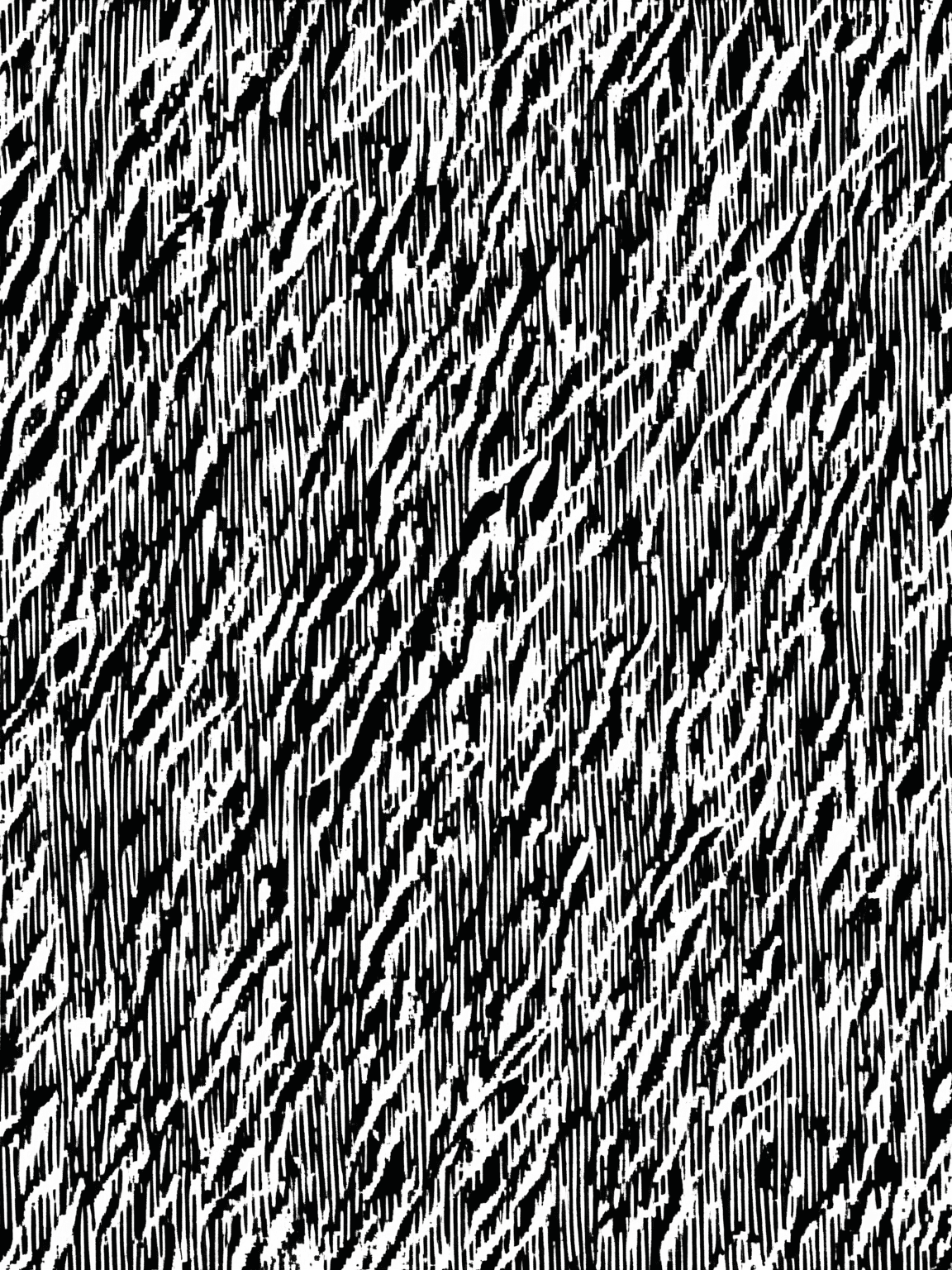Thumbnail of Мартел Монфис