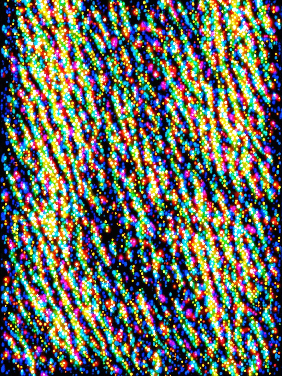 Thumbnail of True