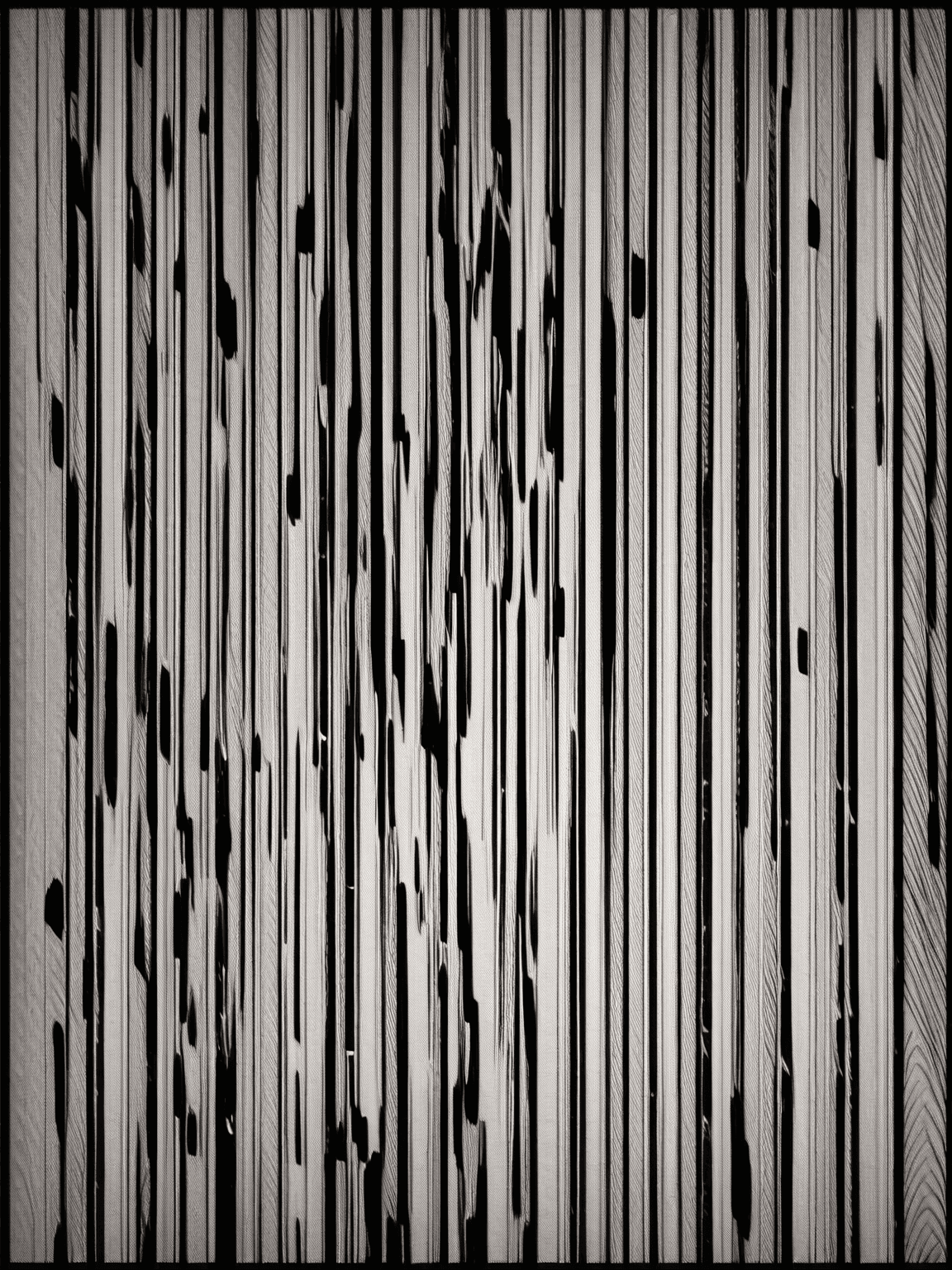 Thumbnail of Echo