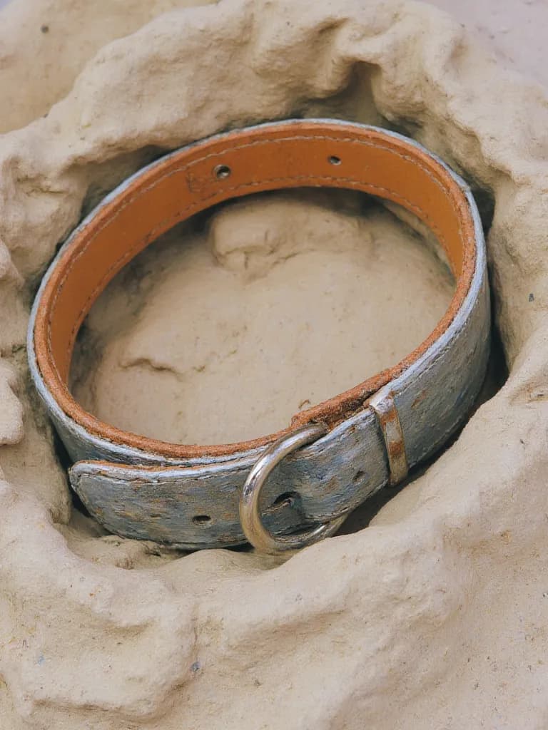Thumbnail of Ошейник