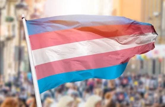 Thumbnail of Trans High: The Rebellion Begins