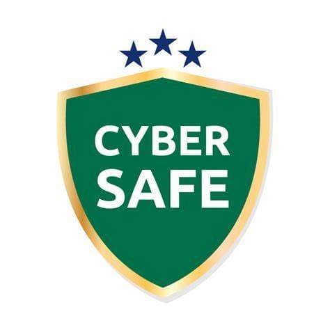 Thumbnail of CyberSafe
