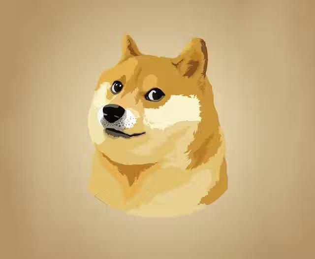 Thumbnail of Doge