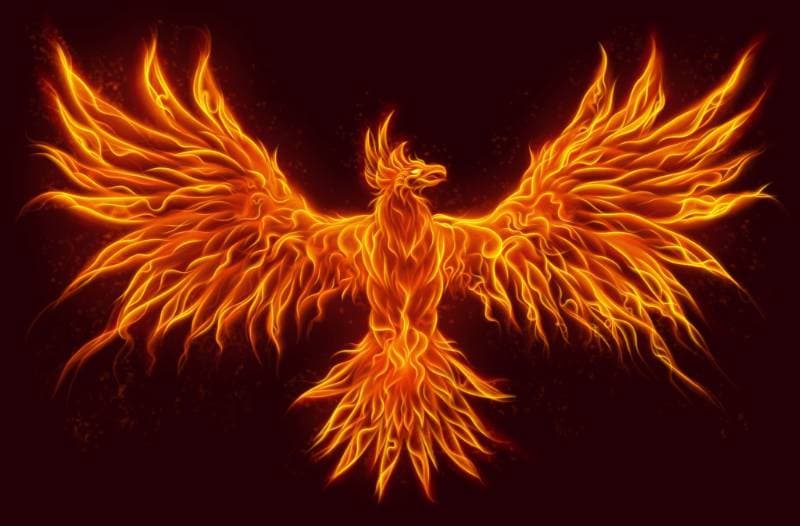 Thumbnail of A Real Phoenix