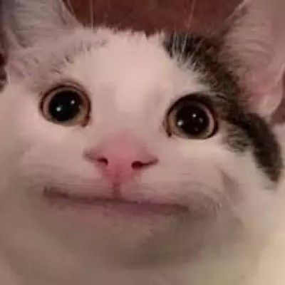 Thumbnail of [Белуга]