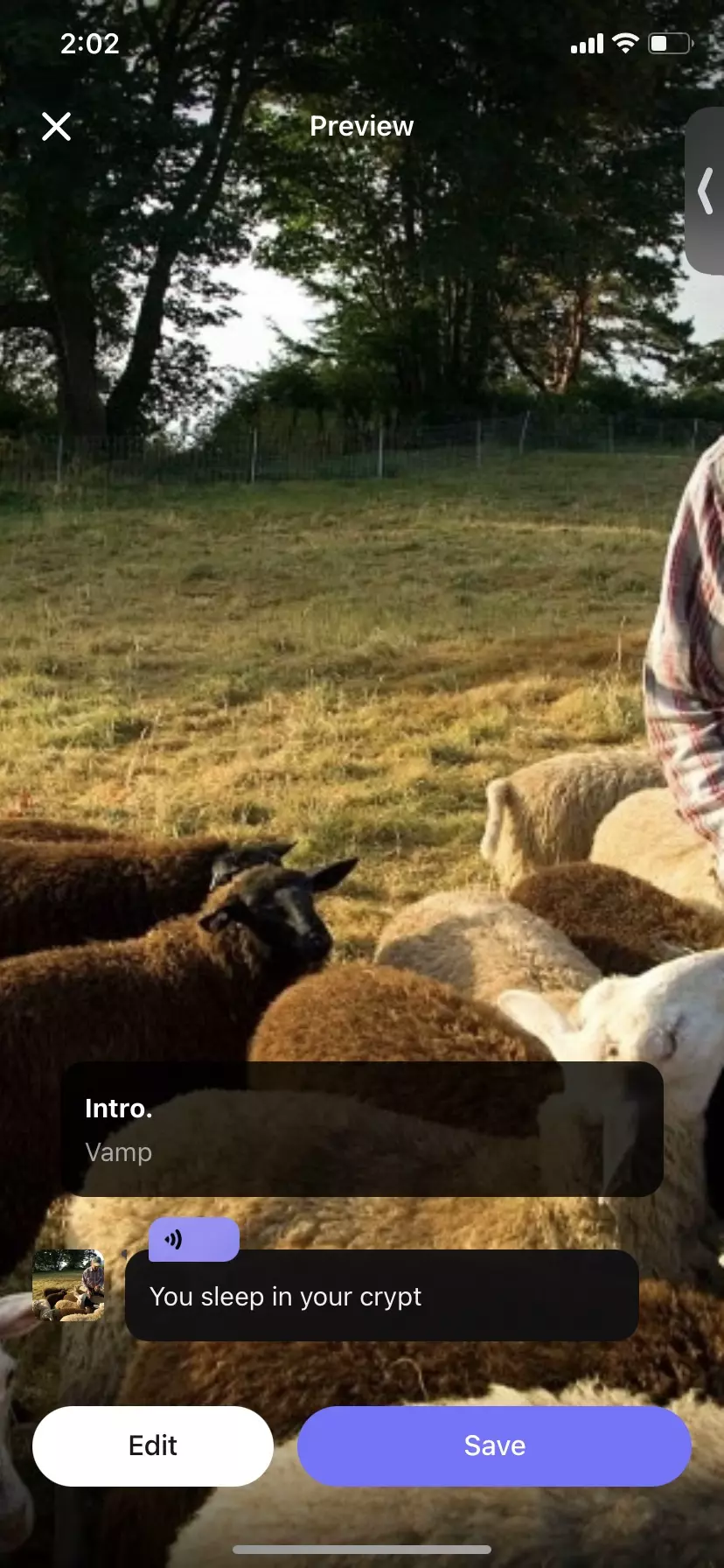 Thumbnail of The flock