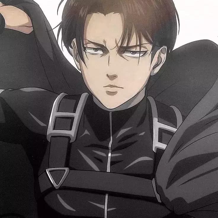 Thumbnail of Levi Ackerman