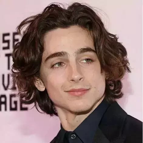 Thumbnail of Timothee chalamet 