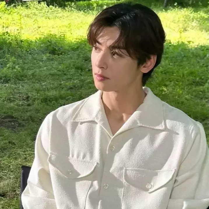 Thumbnail of cha eun woo