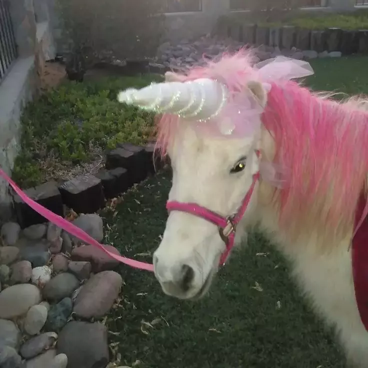 Thumbnail of Unicornio 🦄🙄