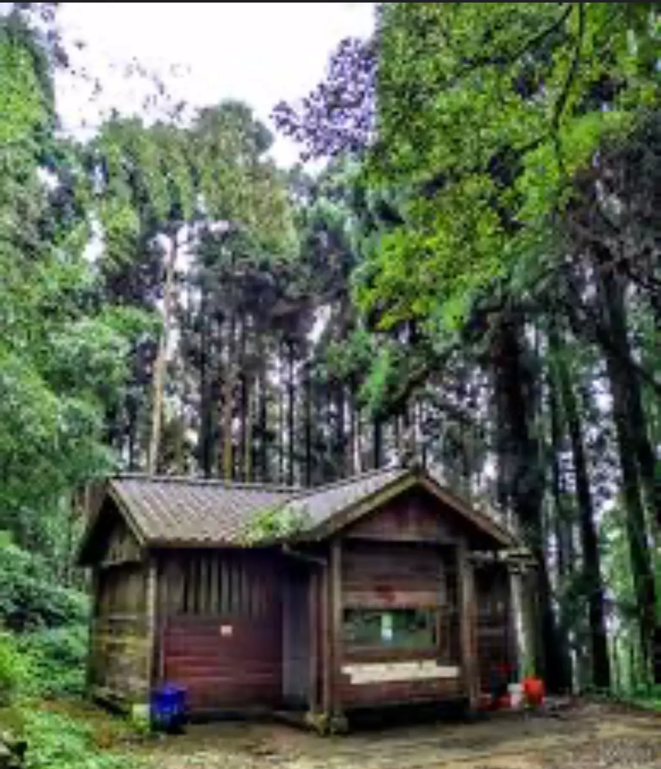 Thumbnail of 這是一個神秘的山中小屋