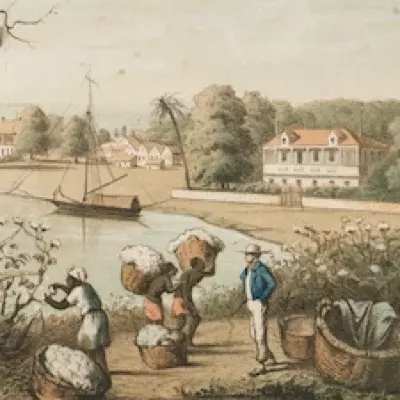 Thumbnail of Мир плантаций