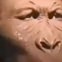 Thumbnail of mono