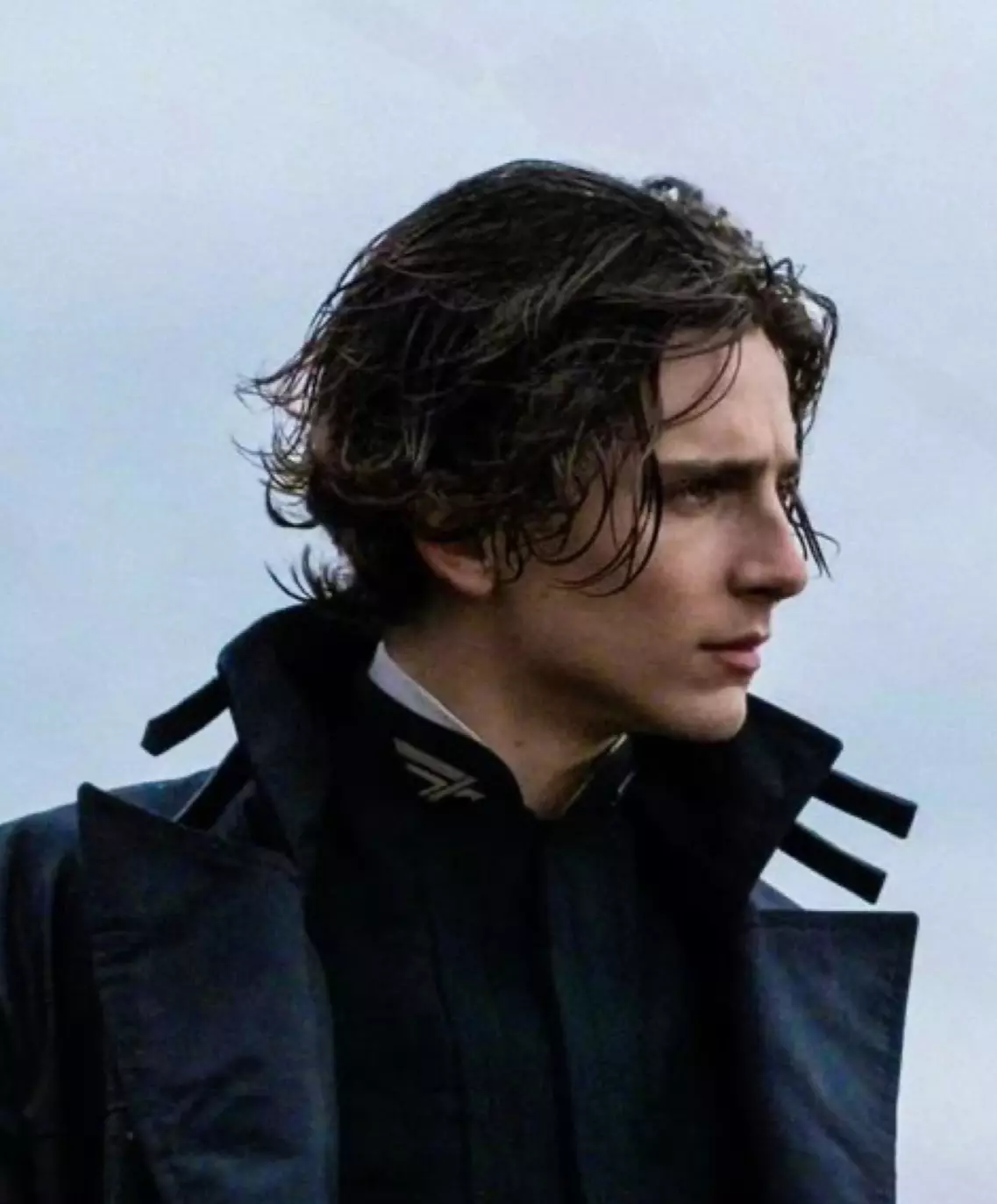 Thumbnail of regulus black