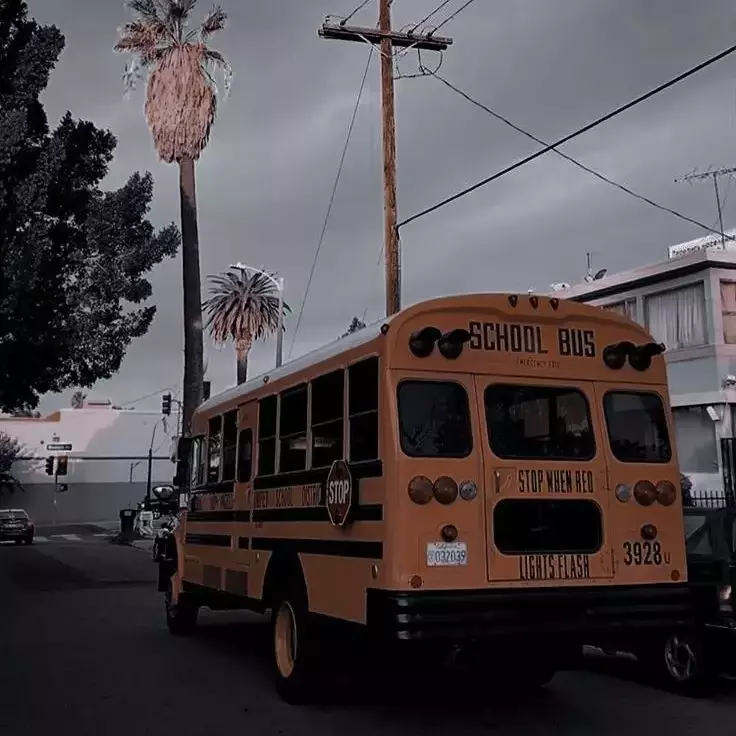 Thumbnail of Escola dos Estados Unidos 