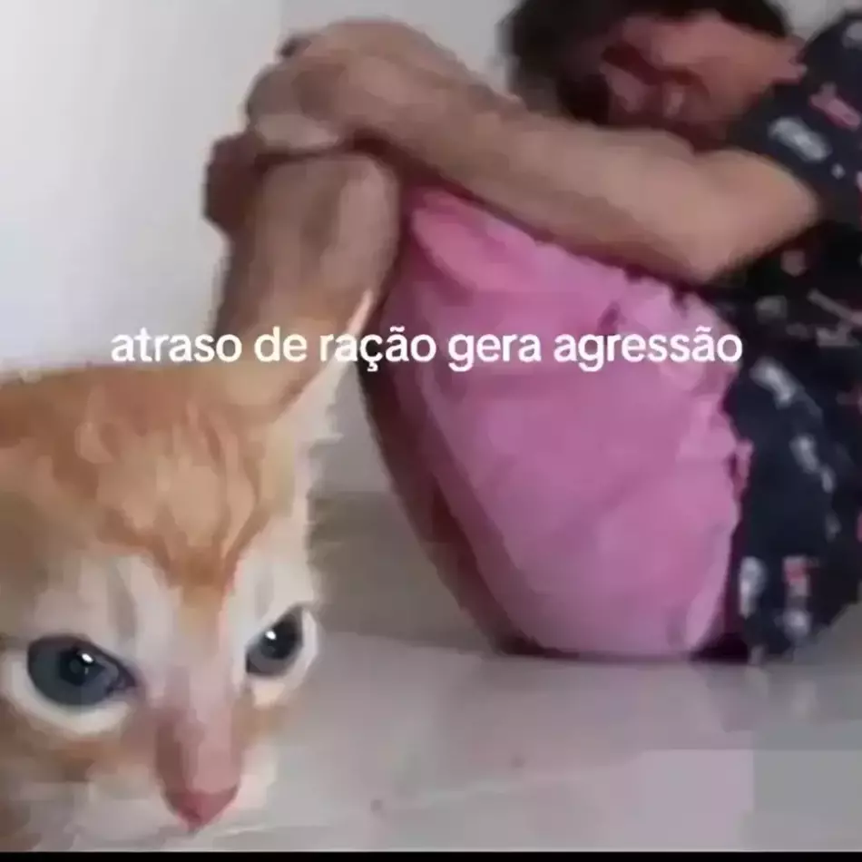 Thumbnail of Ваша кошка XD