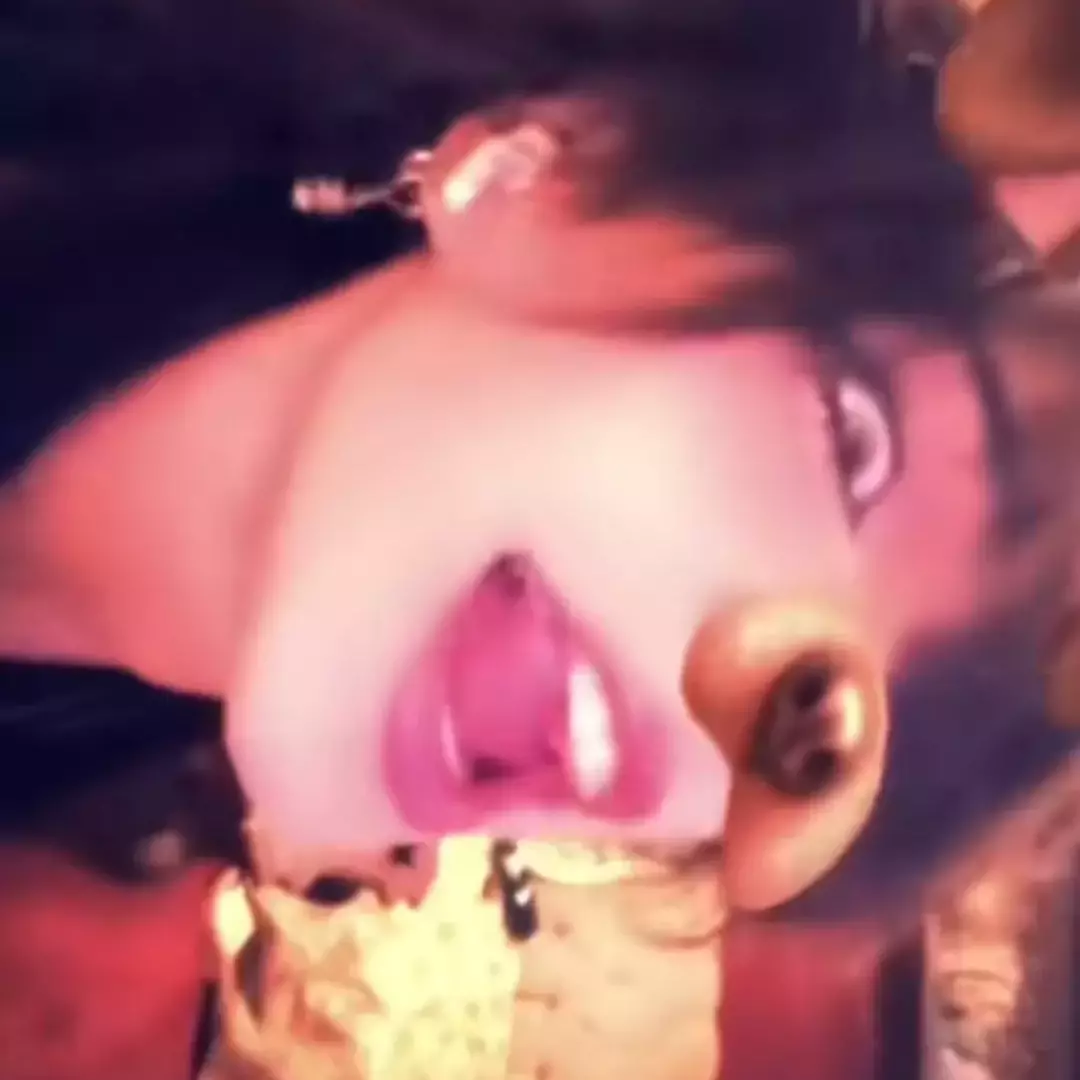 Thumbnail of lexis