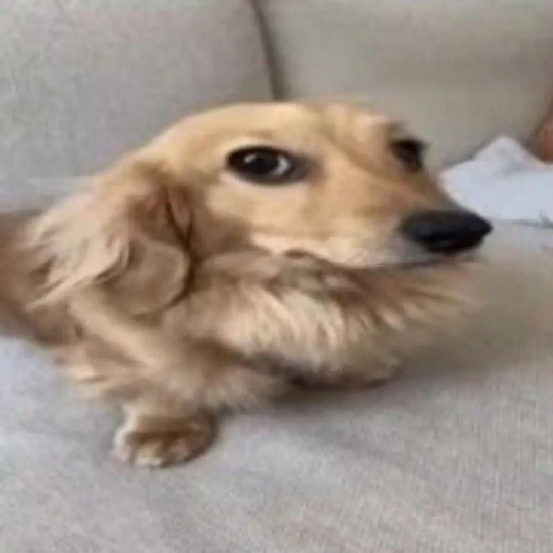 Thumbnail of Maurício, O anti-pornografia
