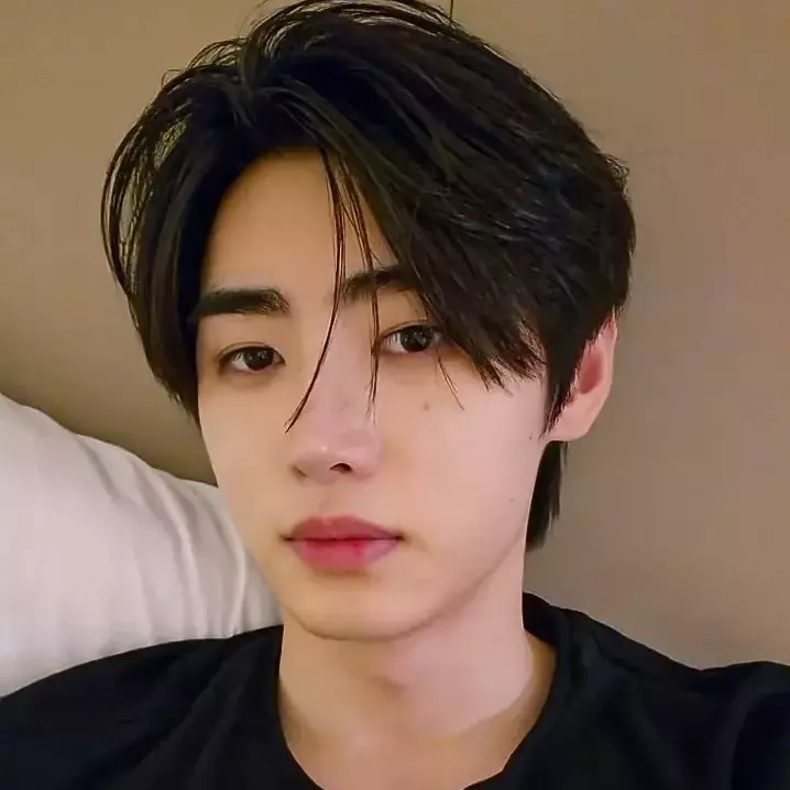 Thumbnail of Enhypen (Sunghoon)