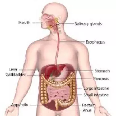 Thumbnail of Гастро