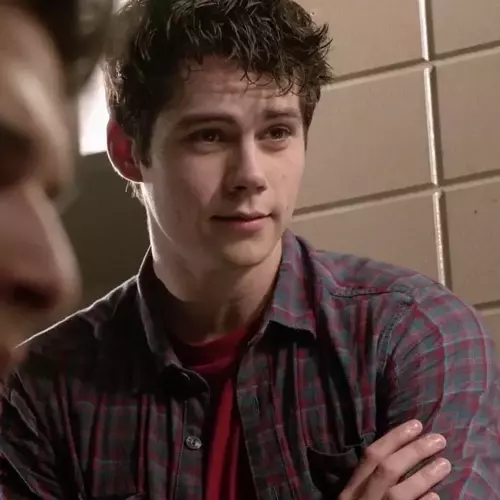 Thumbnail of Stiles stilinsk 