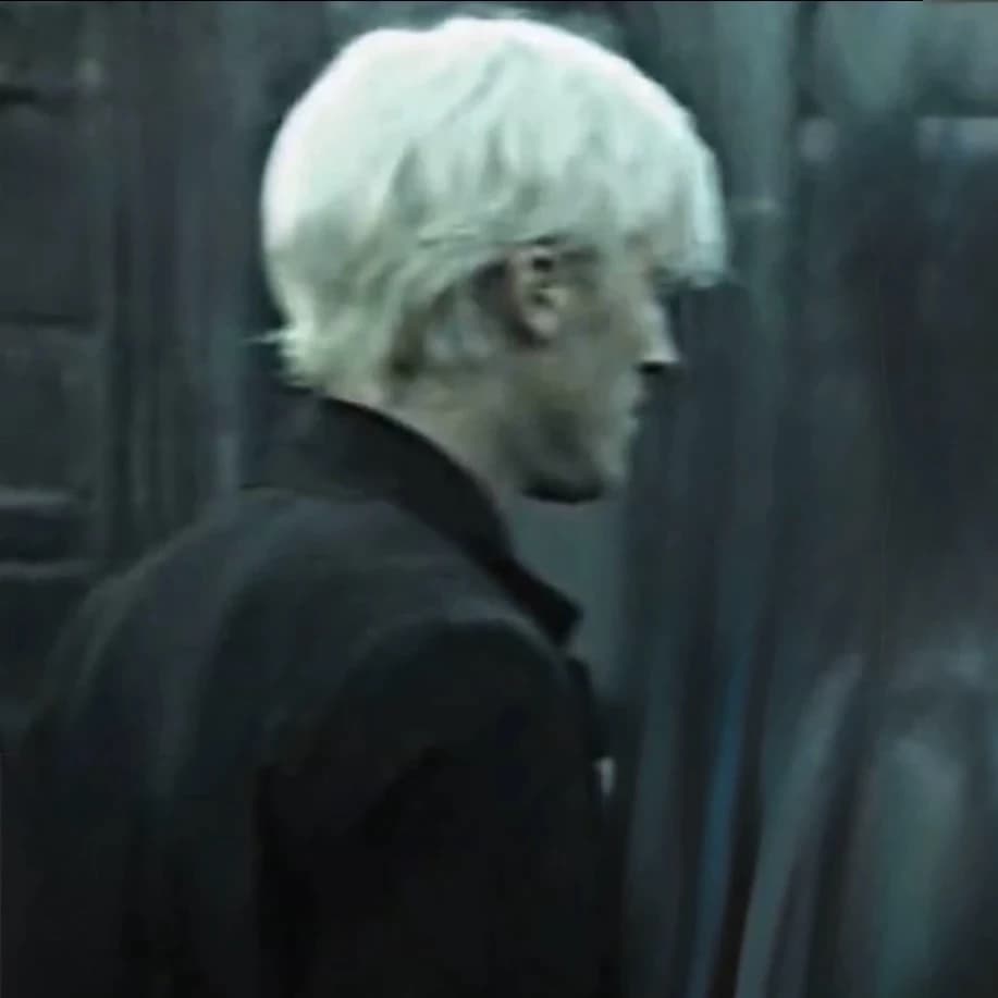 Thumbnail of Драко Л. М.