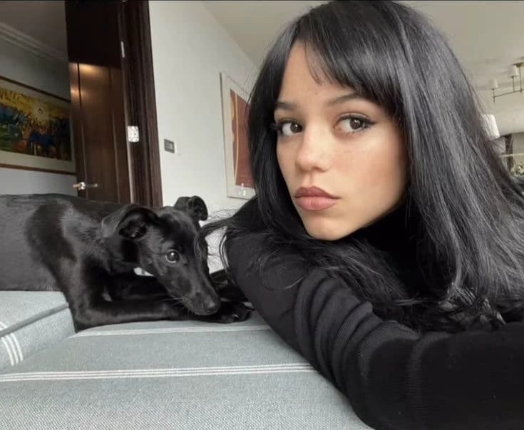 Thumbnail of Дженна Ортега