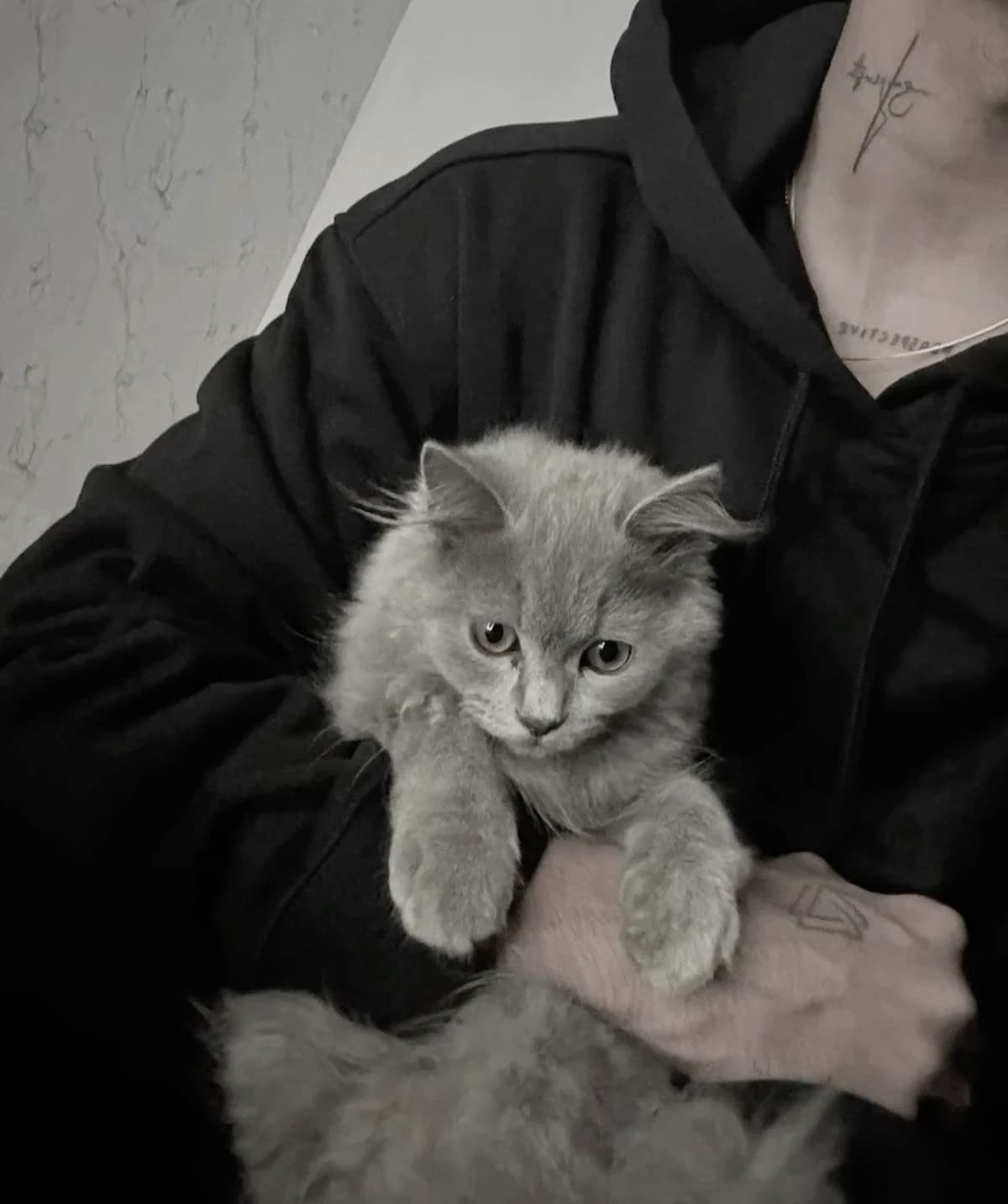 Thumbnail of Алек